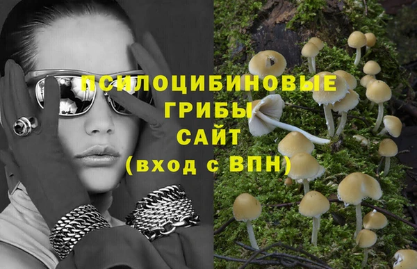 альфа пвп Тавда