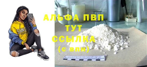 крисы Пересвет