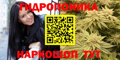 хмурый Канаш