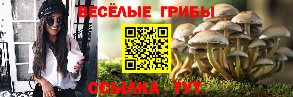 Псилоцибиновые грибы Psilocybine cubensis  Вход с VPN  Полысаево 