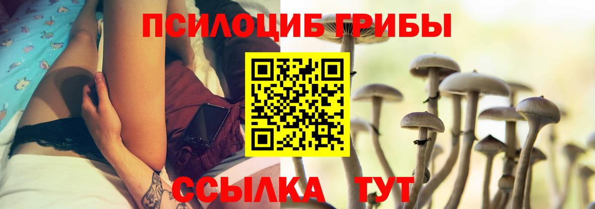 Галлюциногенные грибы MAGIC MUSHROOMS Полысаево